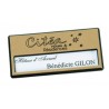 Badge plastique avec fenêtre or avec aimant
